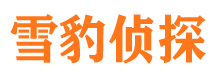 湖滨市调查公司